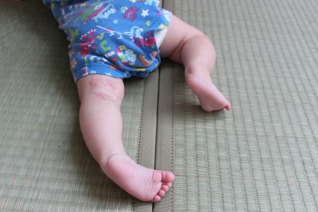 畳の赤ちゃん